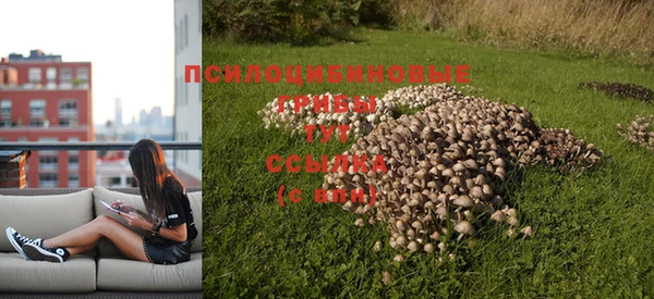 прущий лед Остров