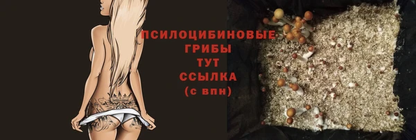 не бодяженный Горно-Алтайск