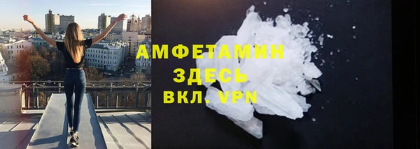 сатива Горнозаводск