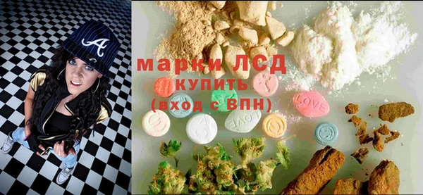 сатива Горнозаводск