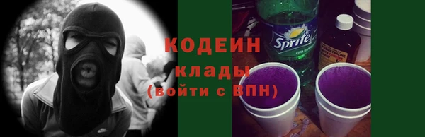 не бодяженный Горно-Алтайск
