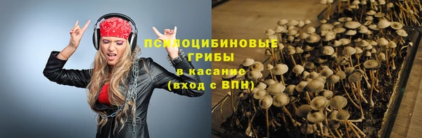 jwh Осинники