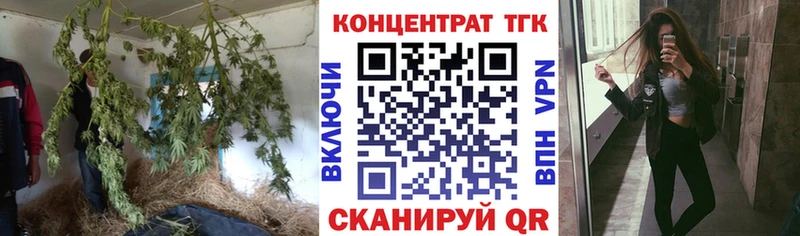 кракен ТОР  Реж  ТГК Wax 