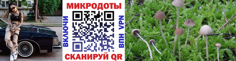 Псилоцибиновые грибы Magic Shrooms  hydra зеркало  Реж 