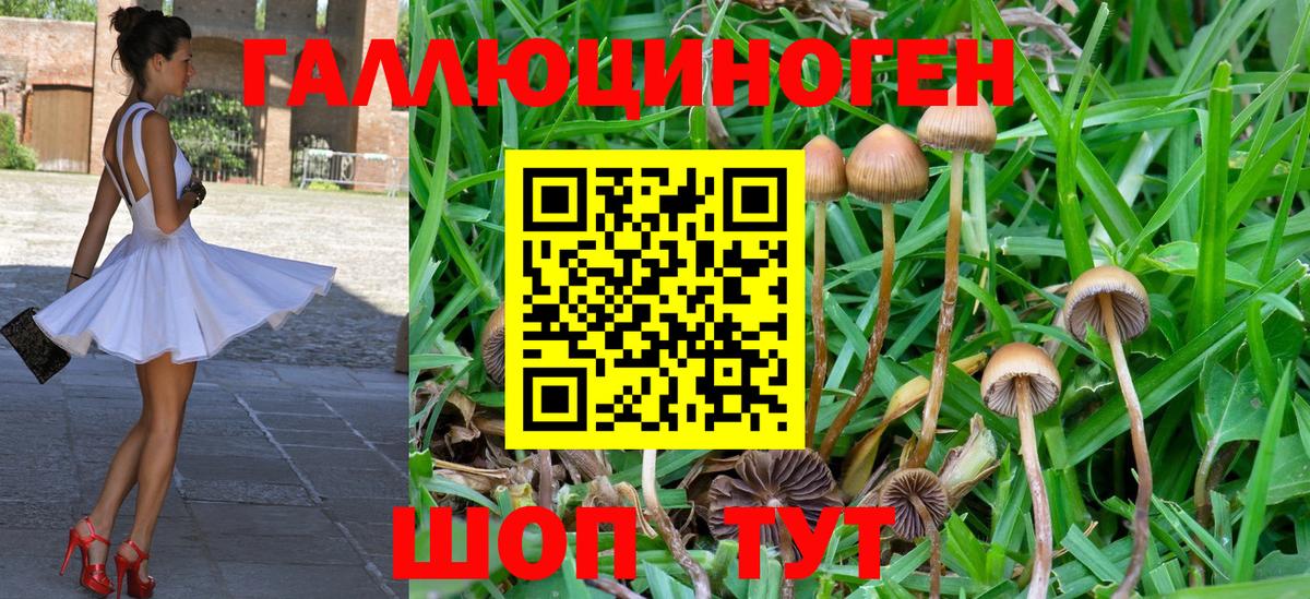 Псилоцибиновые грибы мухоморы Реж