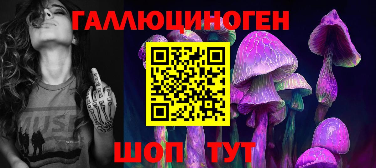 купить наркотик  Вход с VPN  Реж  Галлюциногенные грибы Magic Shrooms 